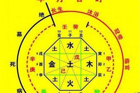 談笑八字|生辰八字算命、五行喜用神查詢（免費測算）